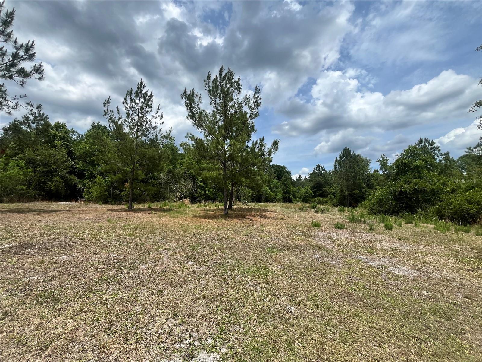 0 NW COUNTY ROAD 229, STARKE, FL, 32091