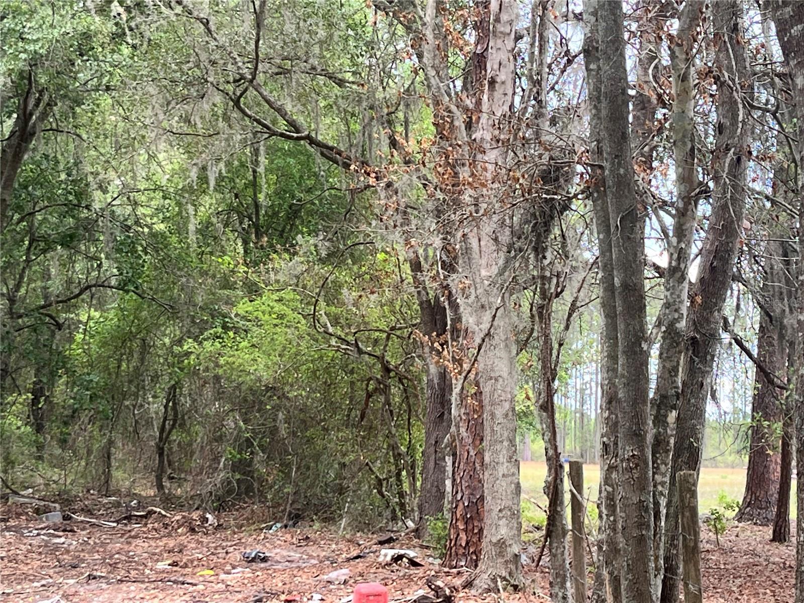 0 NW COUNTY ROAD 229, STARKE, FL, 32091
