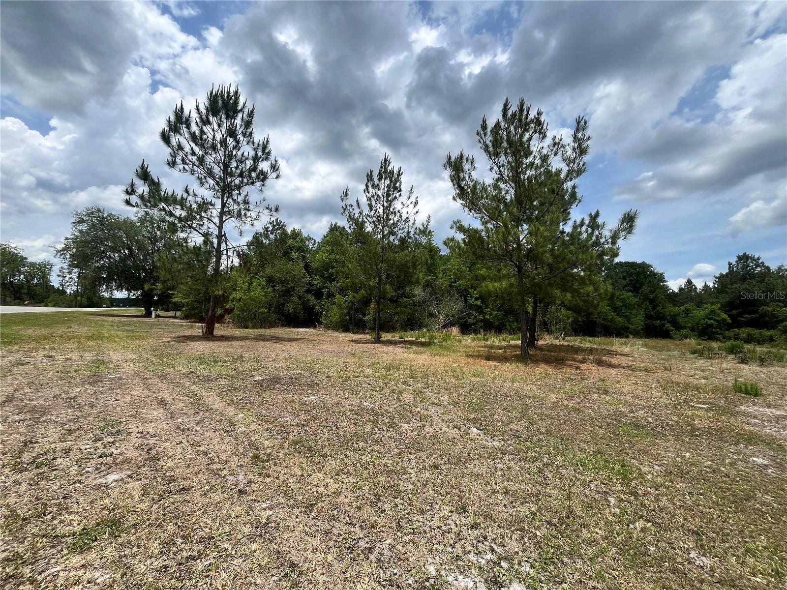 0 NW COUNTY ROAD 229, STARKE, FL, 32091