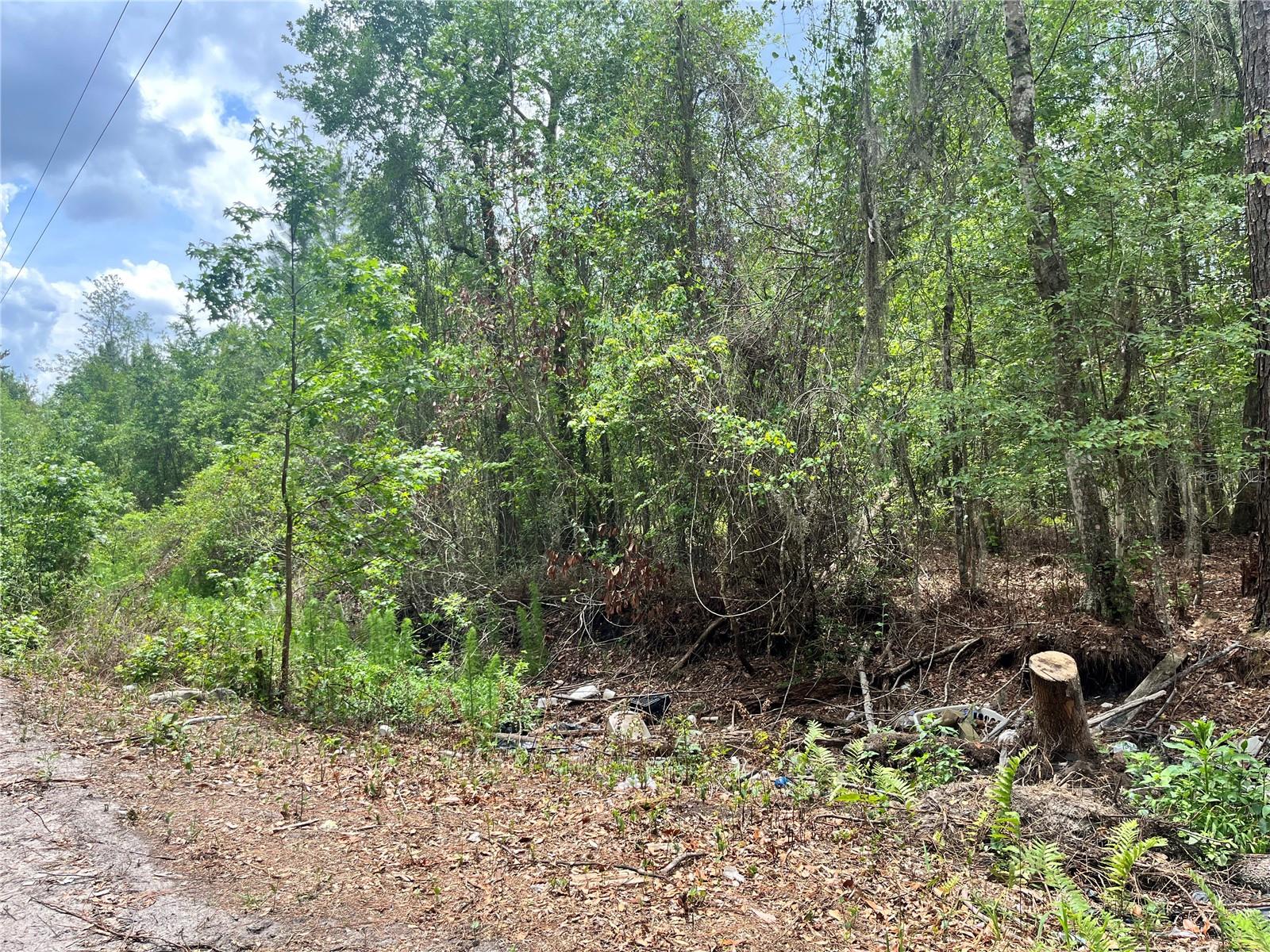 0 NW COUNTY ROAD 229, STARKE, FL, 32091
