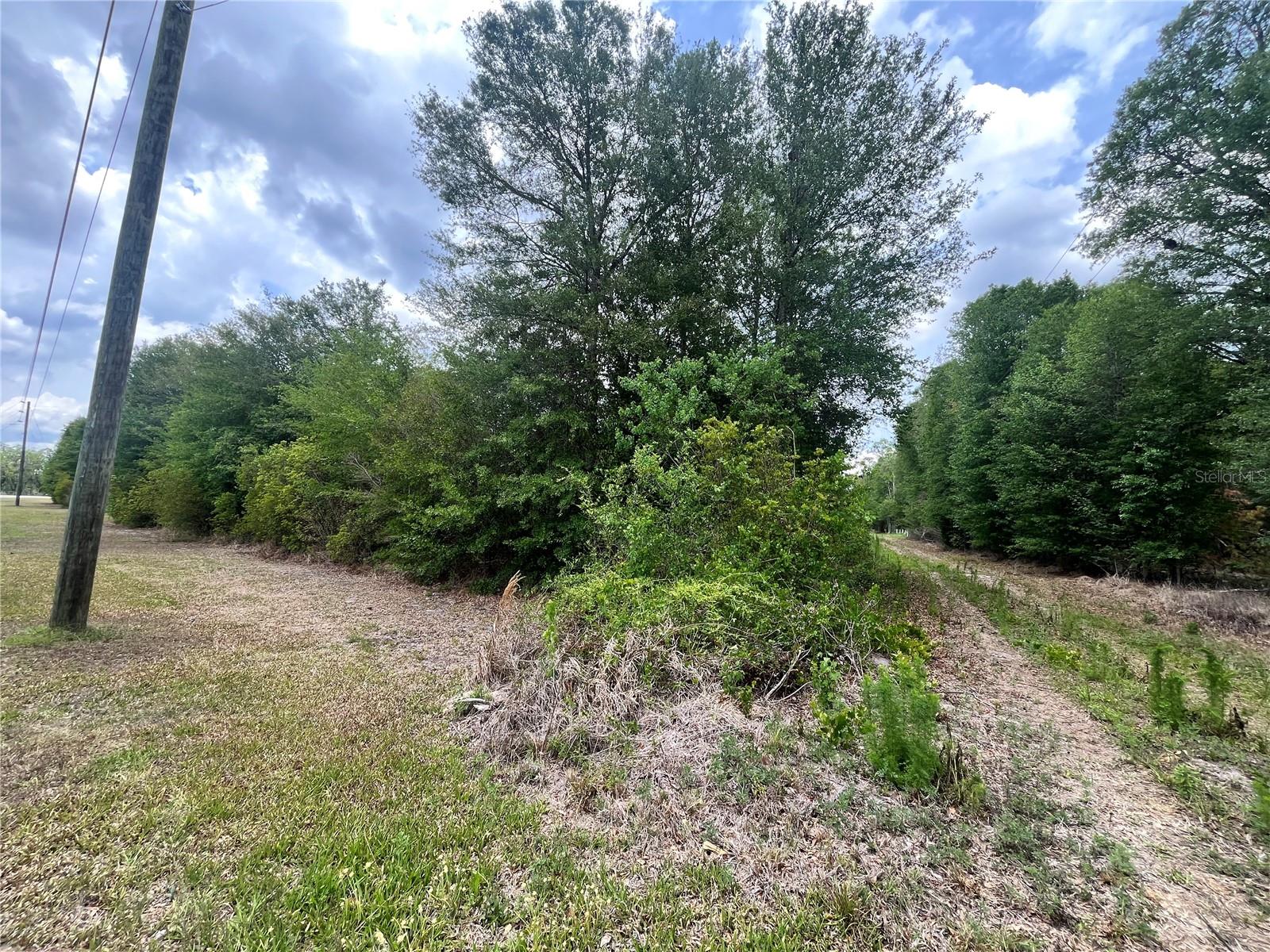 0 NW COUNTY ROAD 229, STARKE, FL, 32091