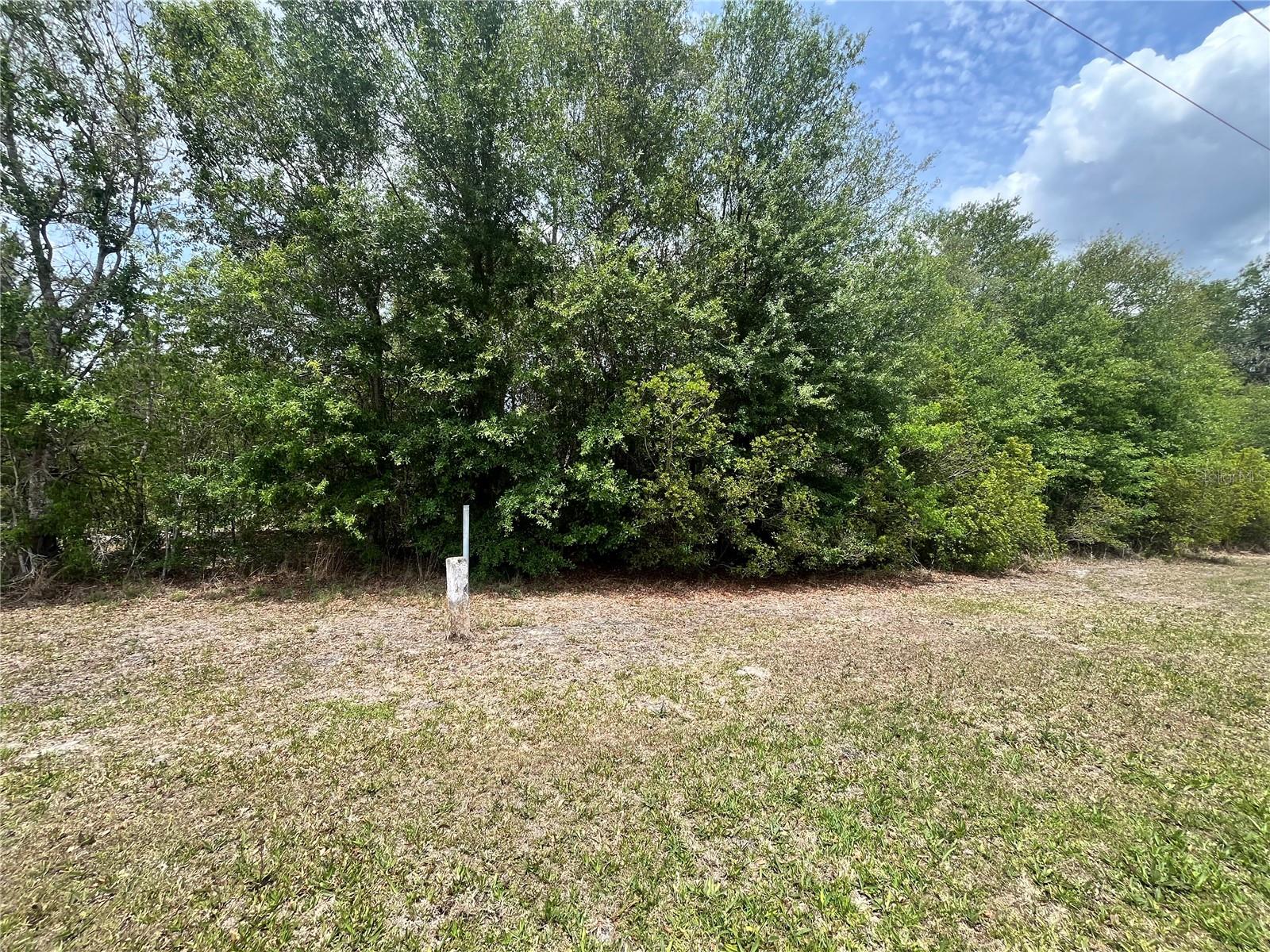0 NW COUNTY ROAD 229, STARKE, FL, 32091