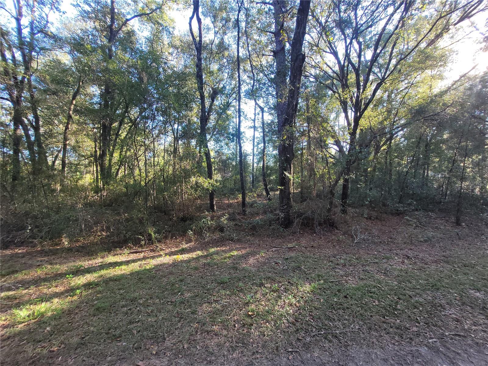 0 SW 22ND PL, OCALA, FL, 34481