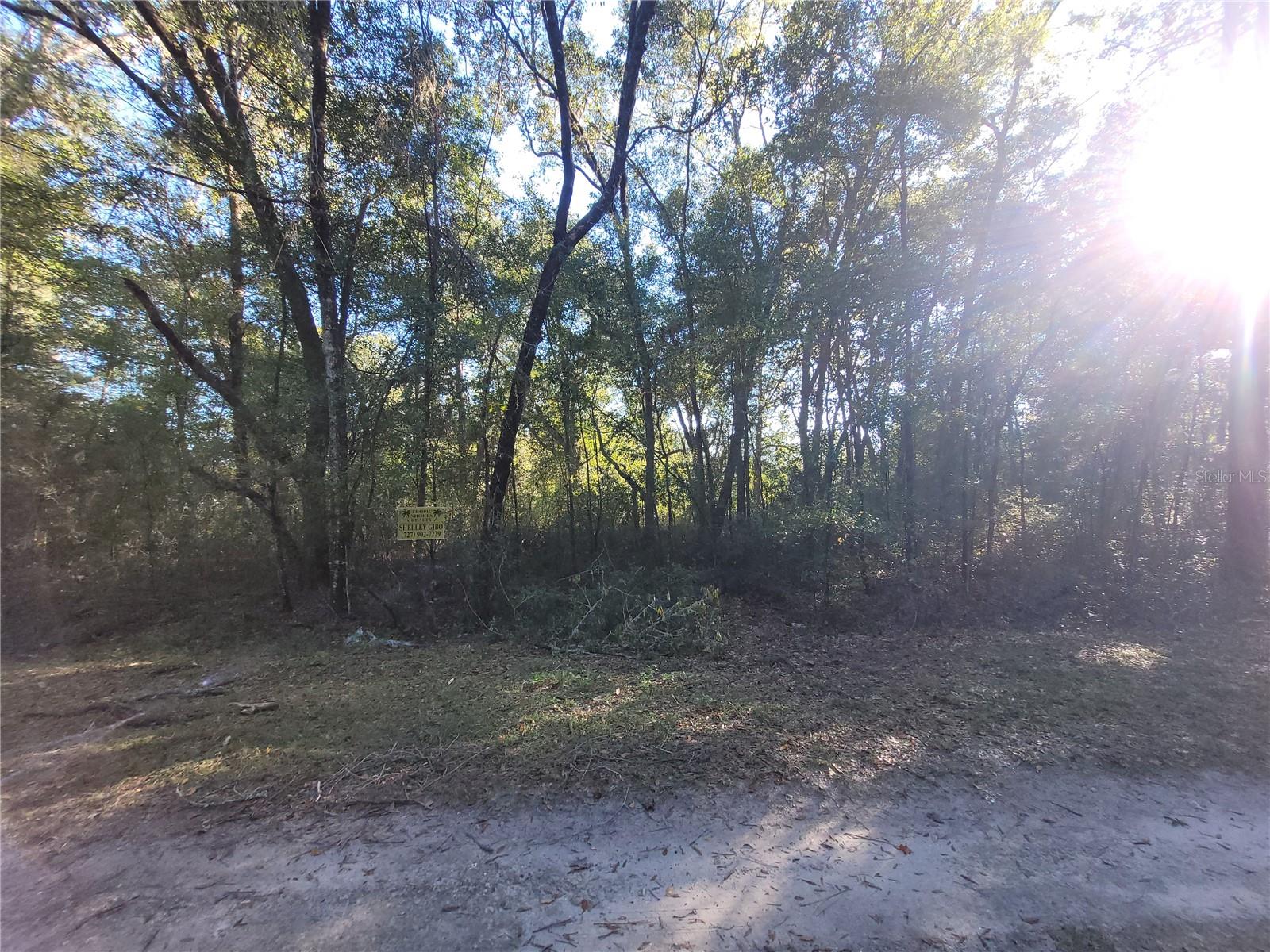 0 SW 22ND PL, OCALA, FL, 34481
