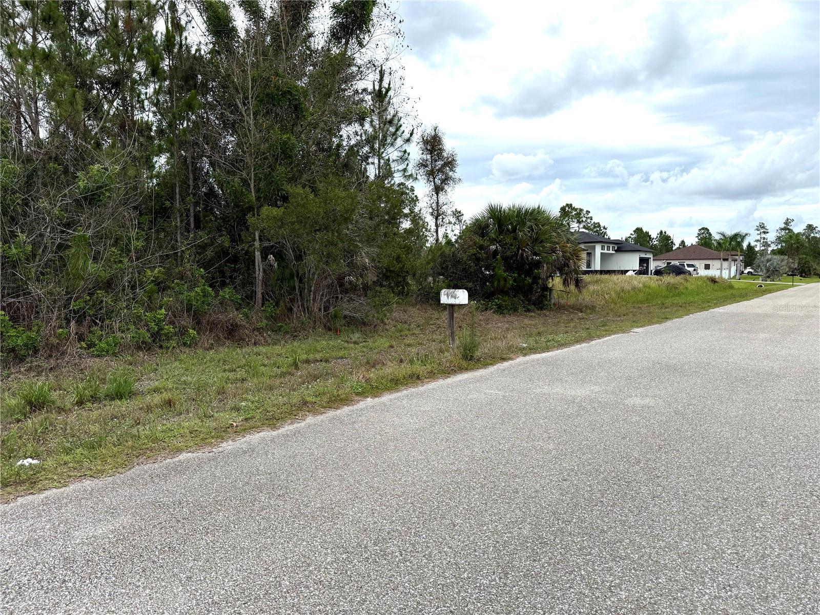 1009 JACKSON AVE, LEHIGH ACRES, FL, 33972