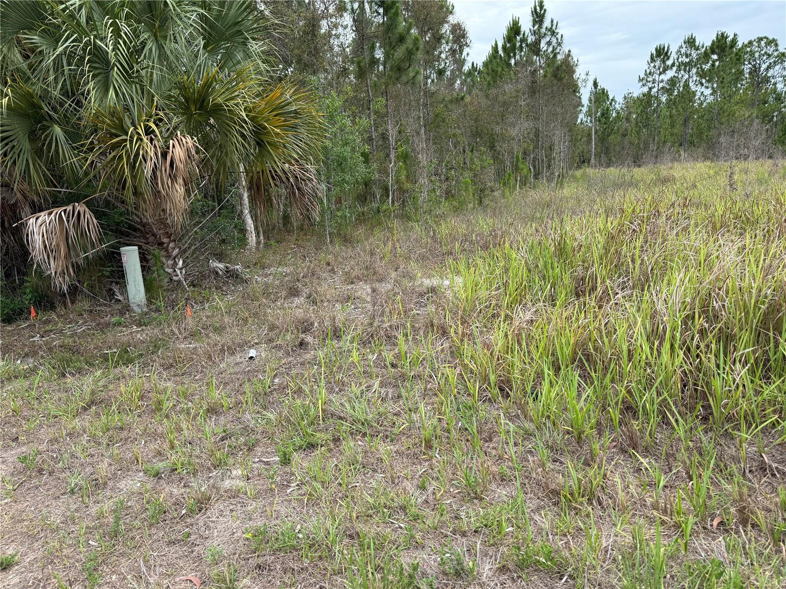 1009 JACKSON AVE, LEHIGH ACRES, FL, 33972