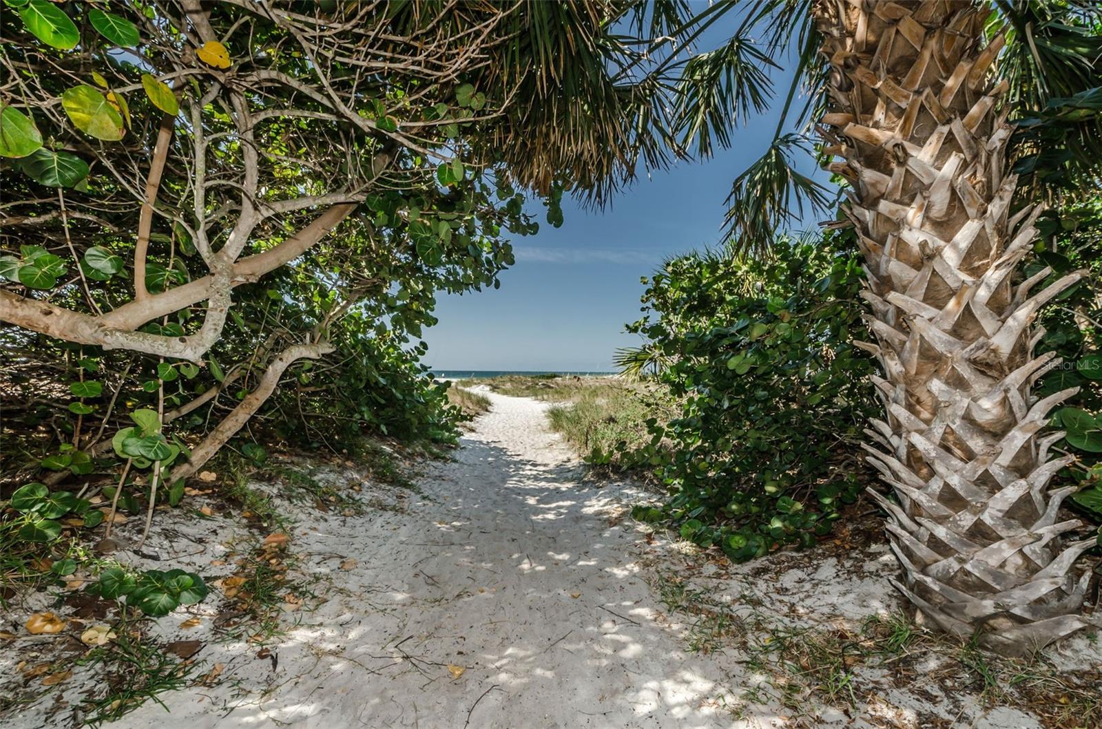 720 BRUCE AVE, CLEARWATER BEACH, FL, 33767