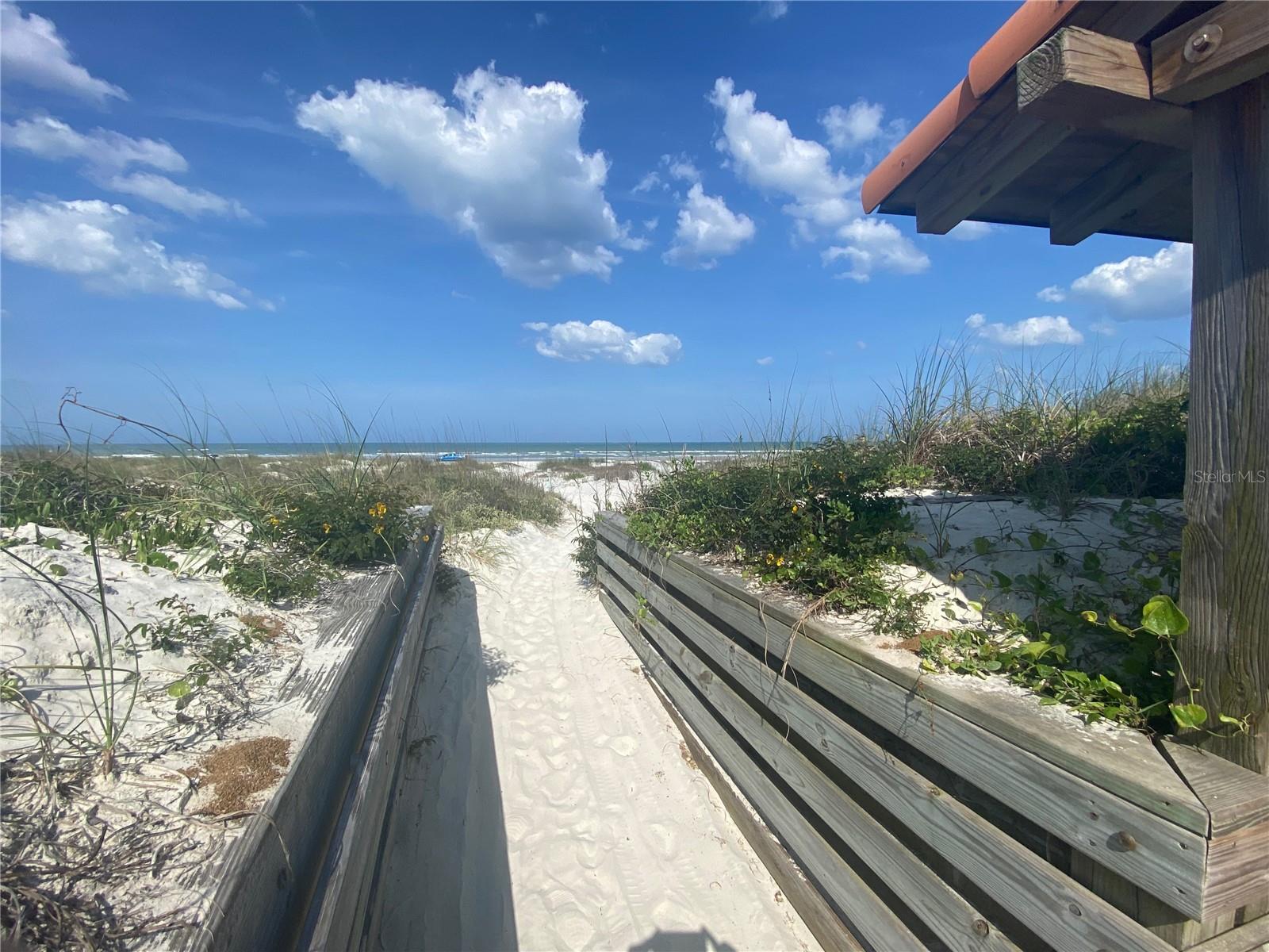 265 MINORCA BEACH WAY #505, NEW SMYRNA BEACH, FL, 32169
