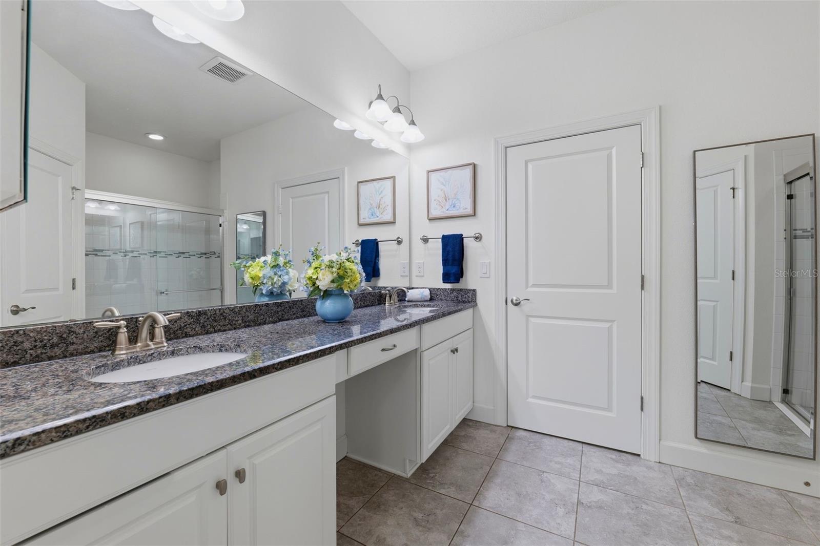 8412 ALBERATA VISTA DR, TAMPA, FL, 33647
