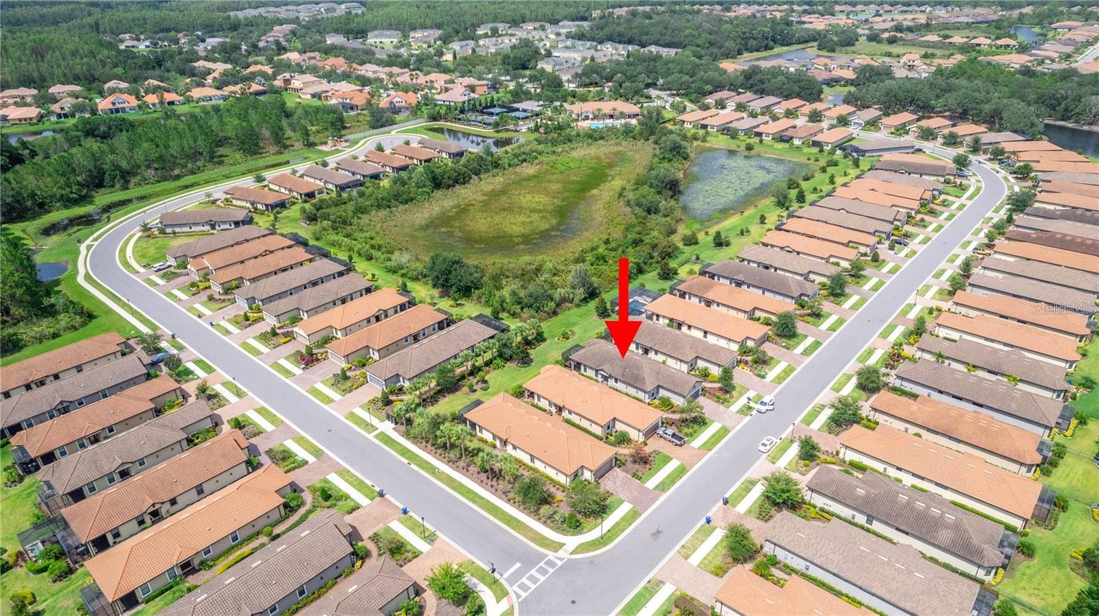 8412 ALBERATA VISTA DR, TAMPA, FL, 33647