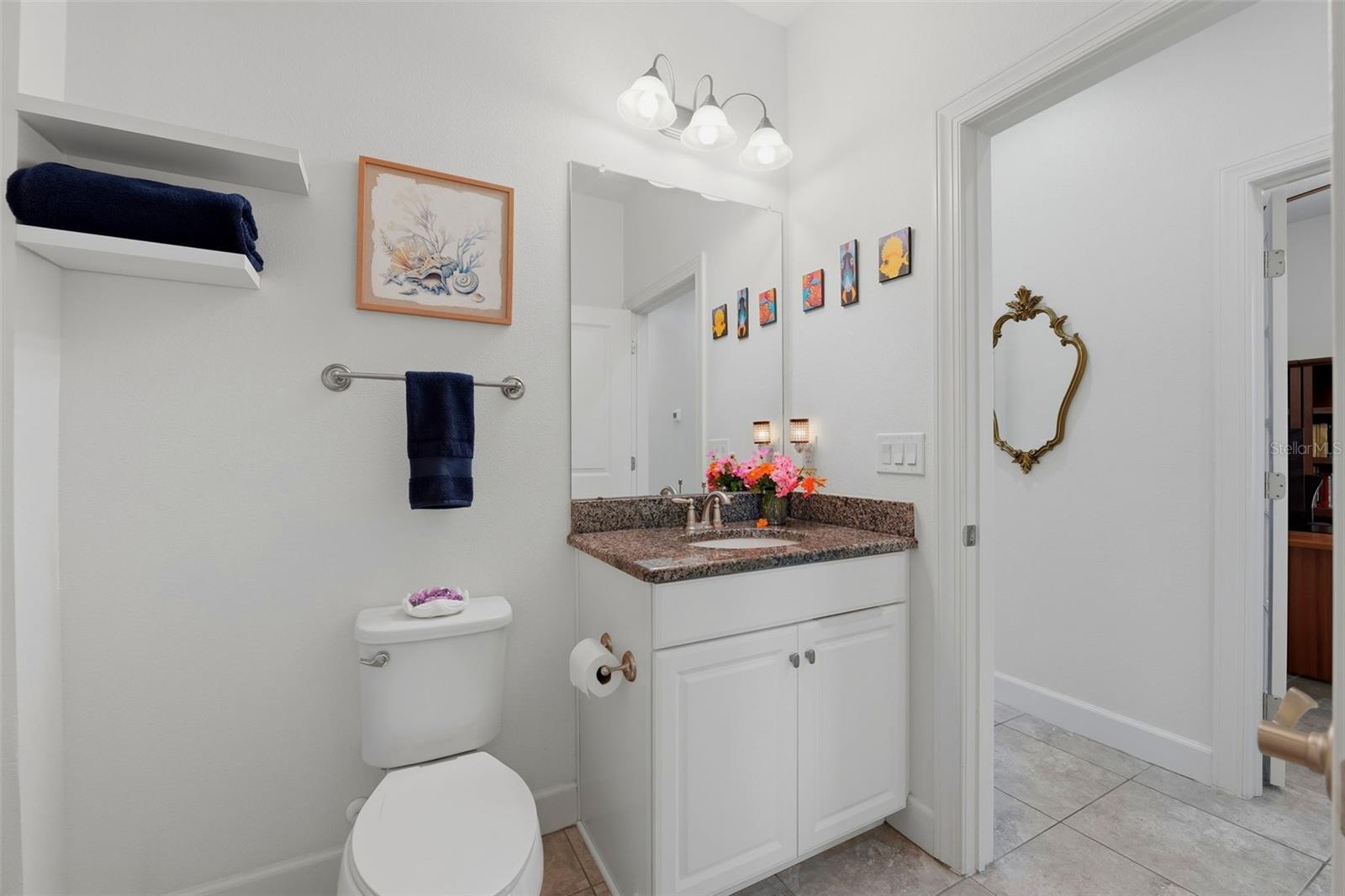 8412 ALBERATA VISTA DR, TAMPA, FL, 33647
