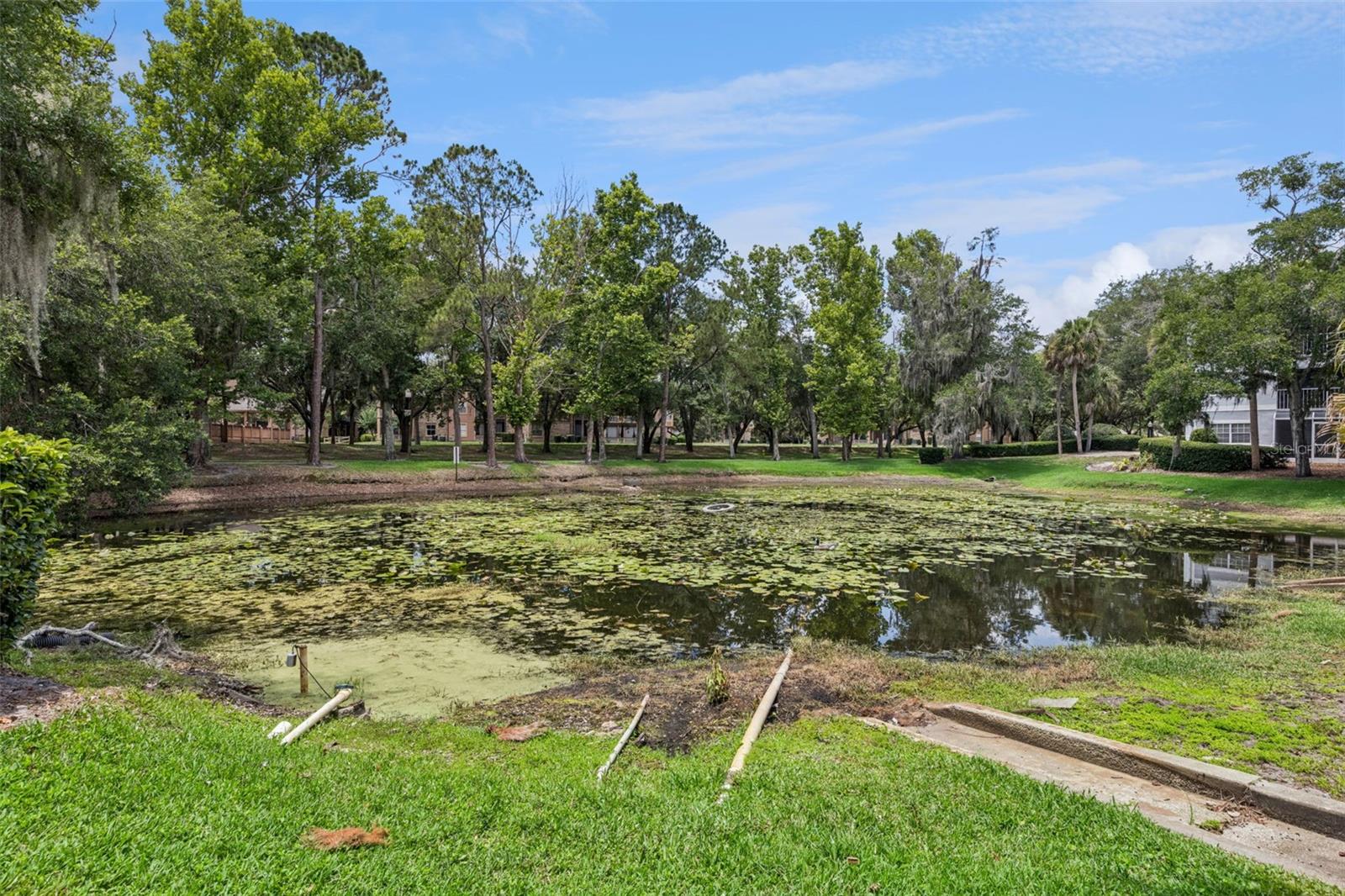 1101 CLUBSIDE DR #1101, LONGWOOD, FL, 32779