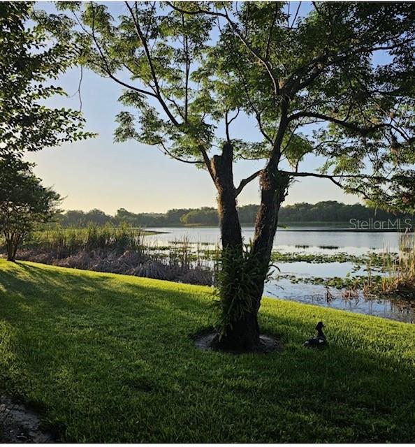 145 N PEARL LAKE CSWY #210, ALTAMONTE SPRINGS, FL, 32714