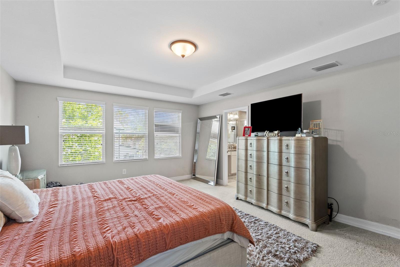 4545 SCARLET LOOP, WESLEY CHAPEL, FL, 33544