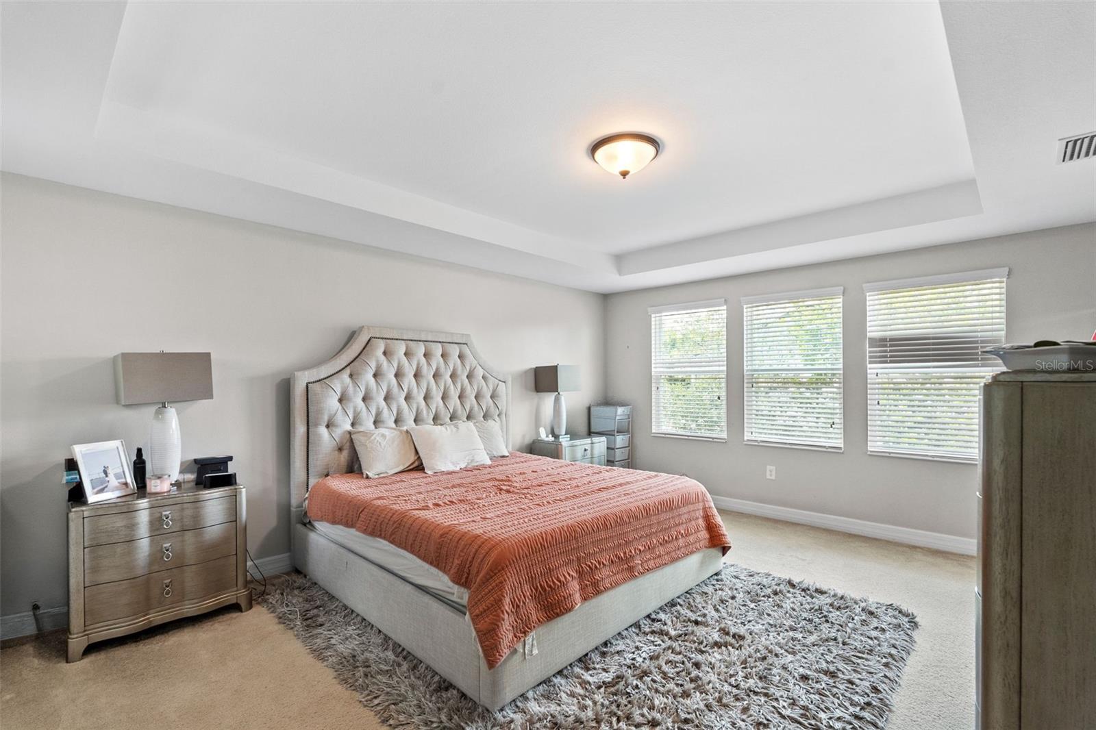 4545 SCARLET LOOP, WESLEY CHAPEL, FL, 33544