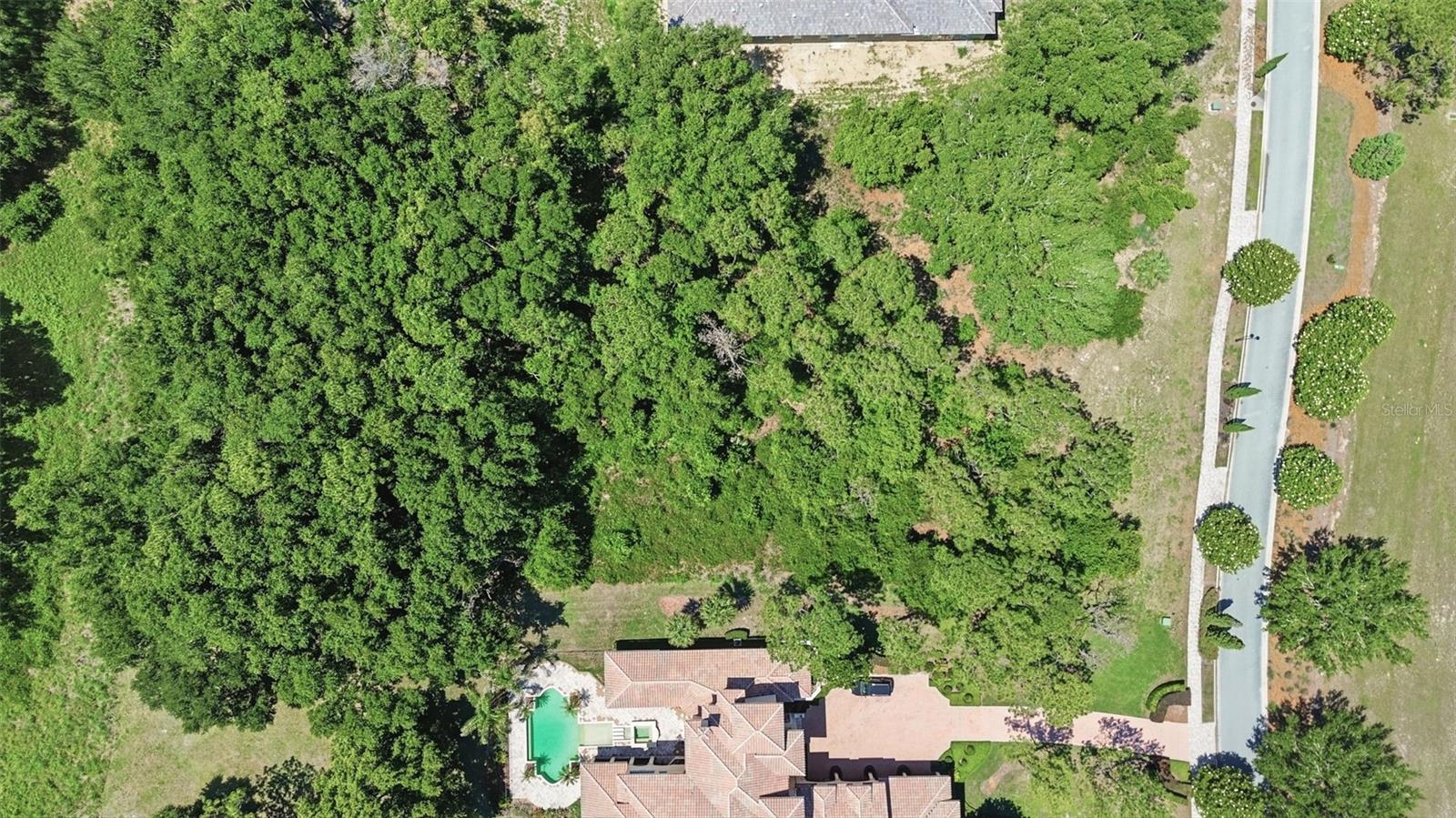 17119 ETRUSCAN LN, MONTVERDE, FL, 34756