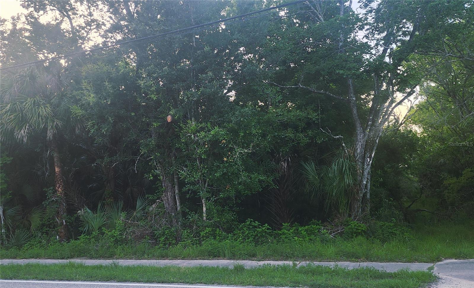 4060 AURANTIA RD, MIMS, FL, 32754