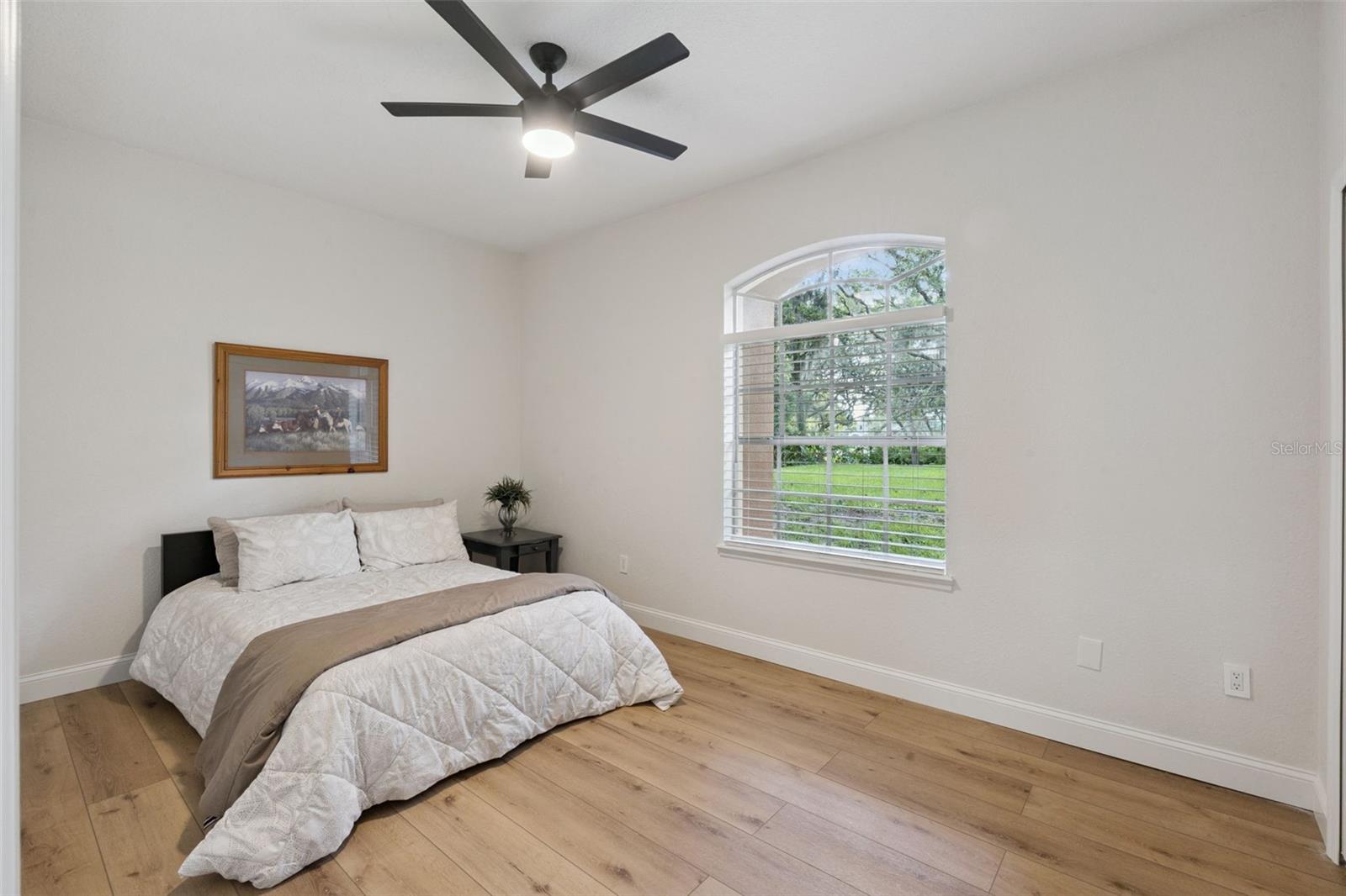 796 MILLS ESTATE PL, CHULUOTA, FL, 32766