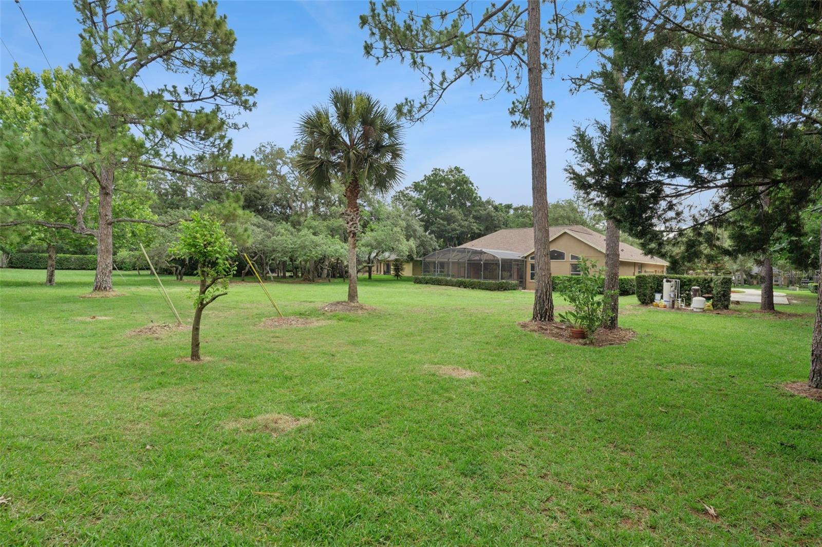796 MILLS ESTATE PL, CHULUOTA, FL, 32766