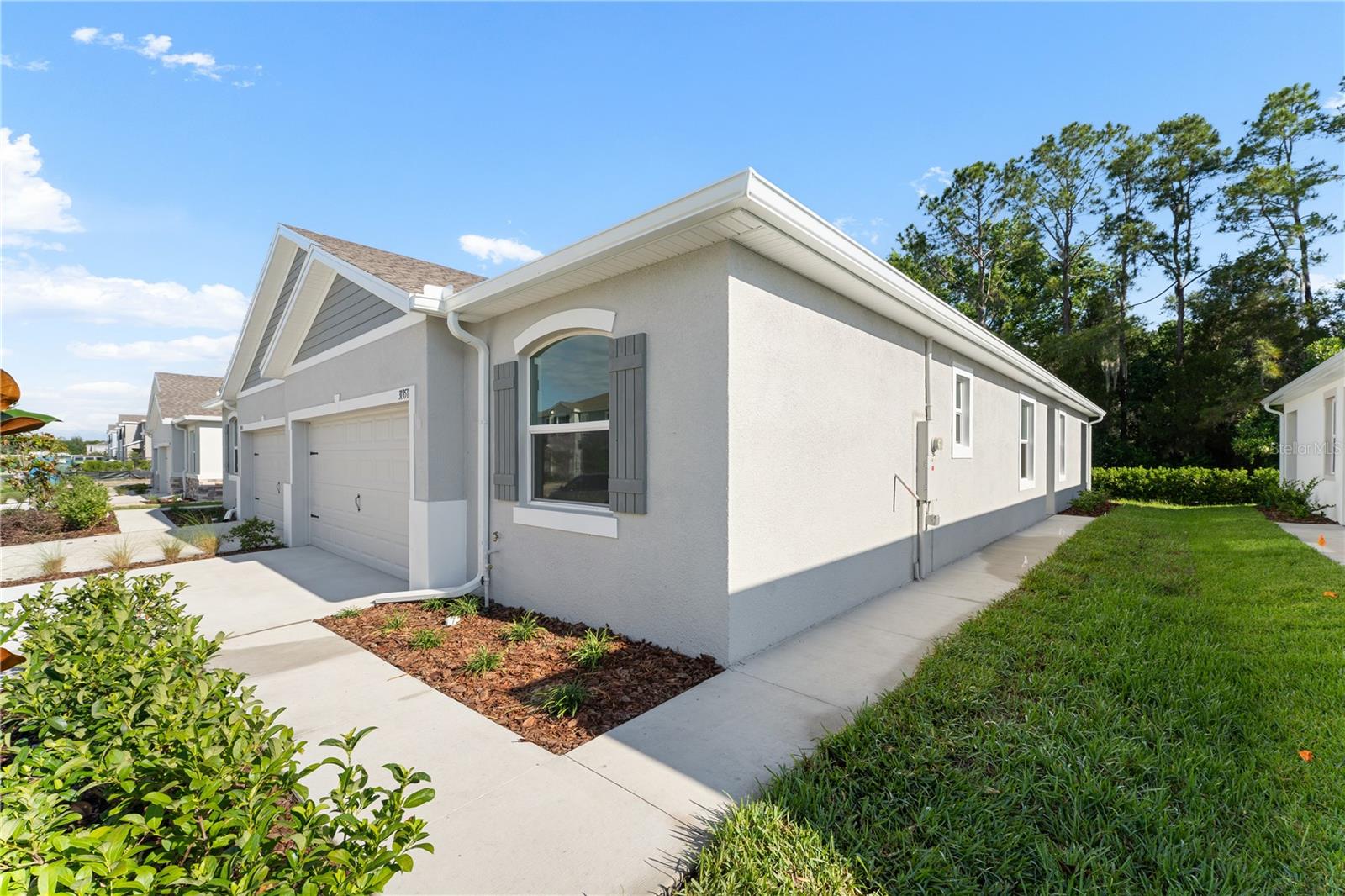 31351 PAPER BIRCH ST, WESLEY CHAPEL, FL, 33545