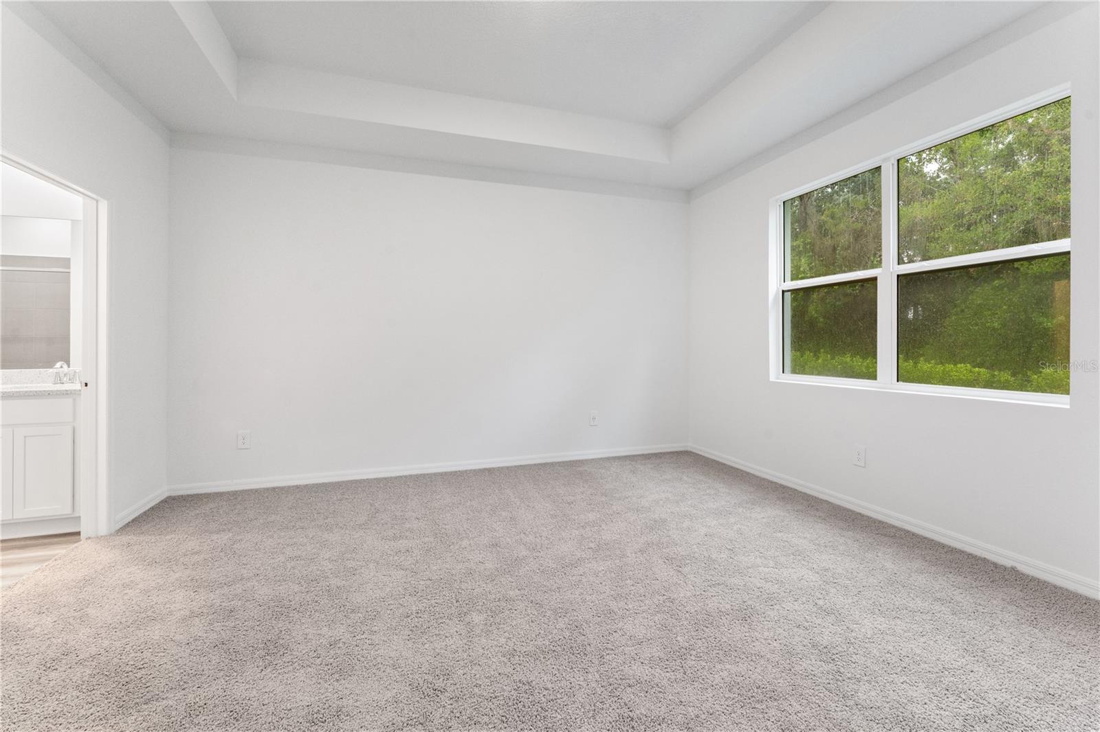 31351 PAPER BIRCH ST, WESLEY CHAPEL, FL, 33545
