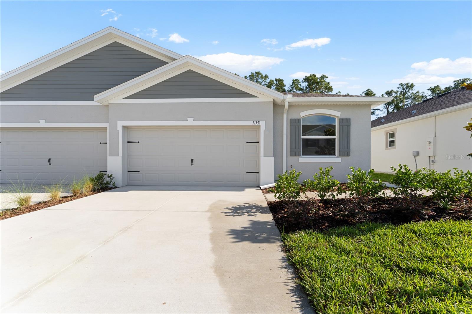 31351 PAPER BIRCH ST, WESLEY CHAPEL, FL, 33545