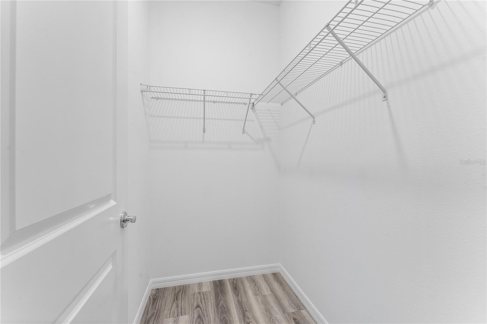 31351 PAPER BIRCH ST, WESLEY CHAPEL, FL, 33545