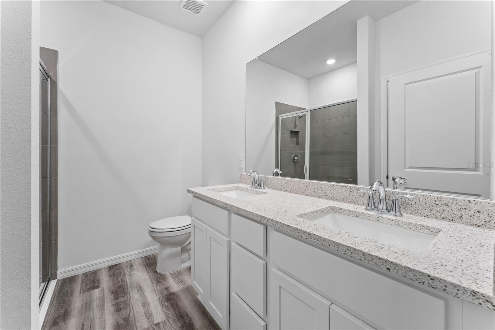 31351 PAPER BIRCH ST, WESLEY CHAPEL, FL, 33545