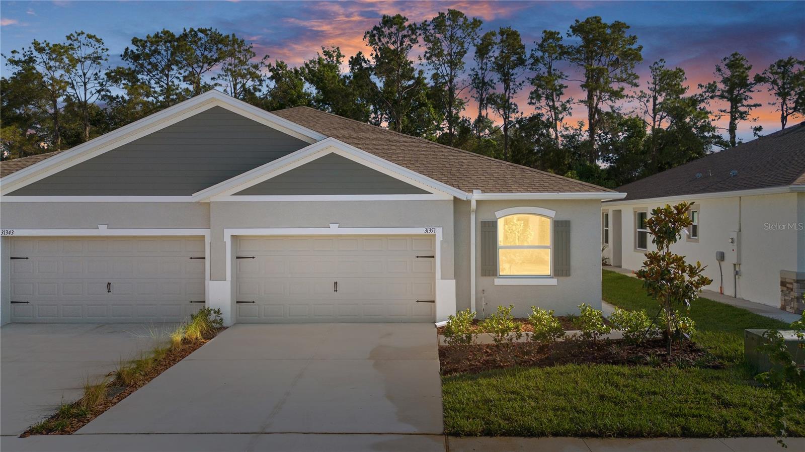 31351 PAPER BIRCH ST, WESLEY CHAPEL, FL, 33545