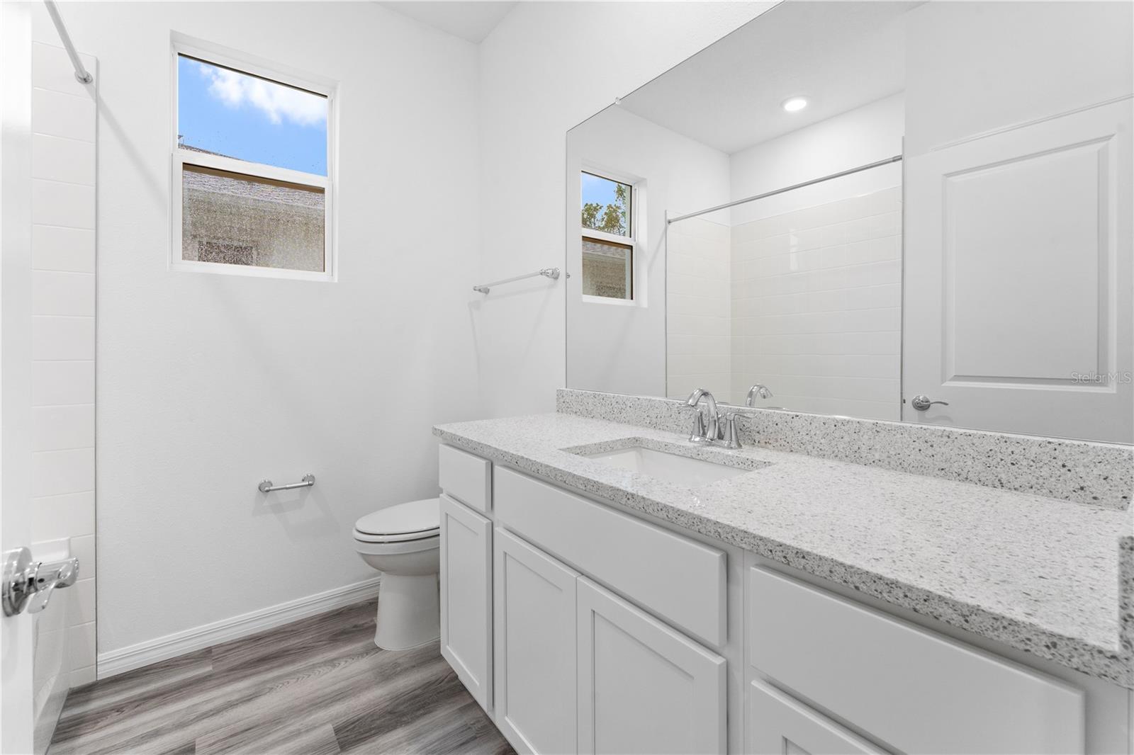 31351 PAPER BIRCH ST, WESLEY CHAPEL, FL, 33545