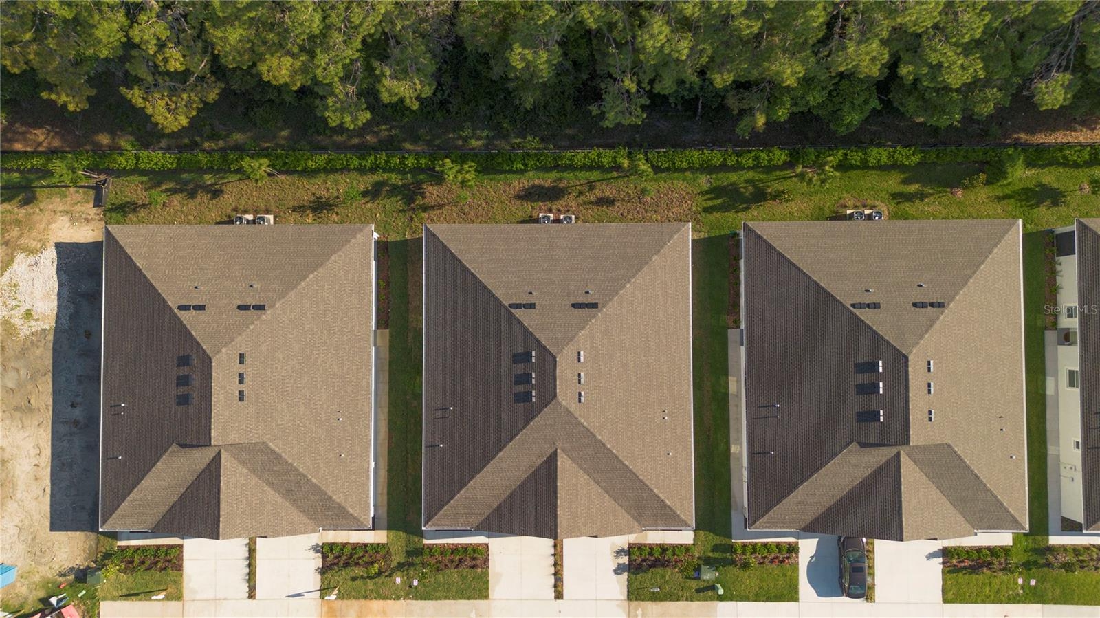 31351 PAPER BIRCH ST, WESLEY CHAPEL, FL, 33545