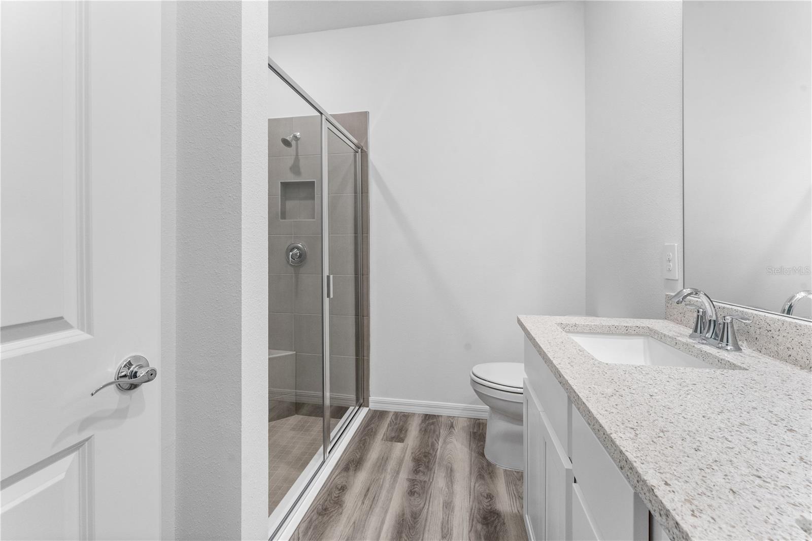31351 PAPER BIRCH ST, WESLEY CHAPEL, FL, 33545