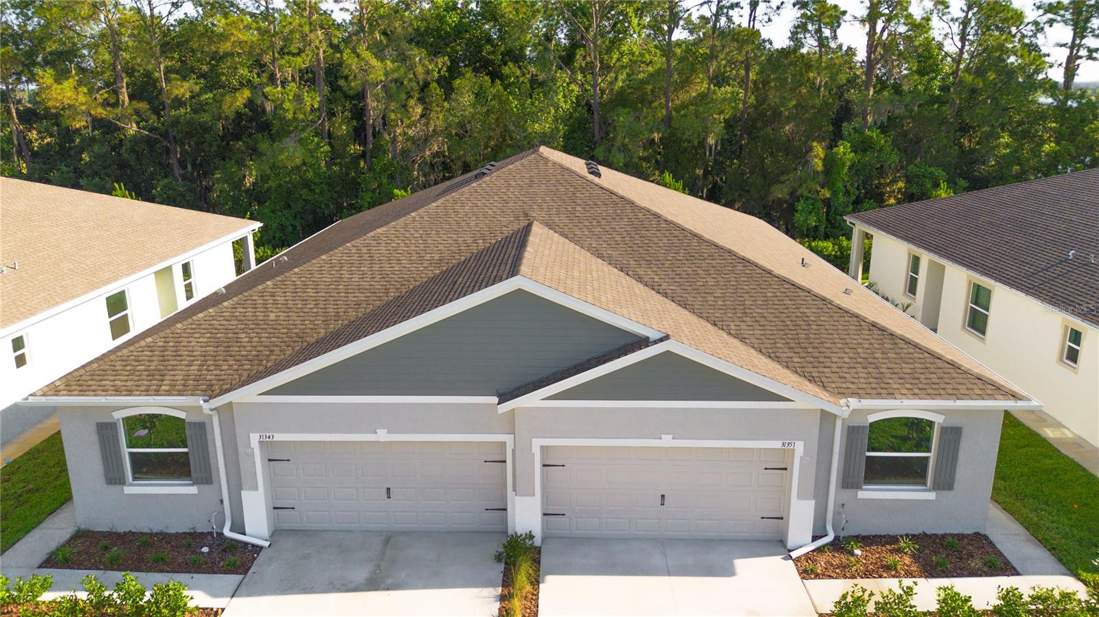 31351 PAPER BIRCH ST, WESLEY CHAPEL, FL, 33545