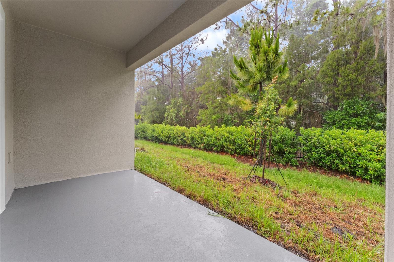 31351 PAPER BIRCH ST, WESLEY CHAPEL, FL, 33545