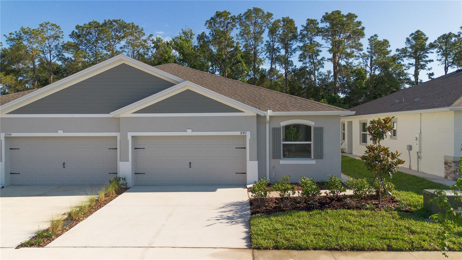 31351 PAPER BIRCH ST, WESLEY CHAPEL, FL, 33545