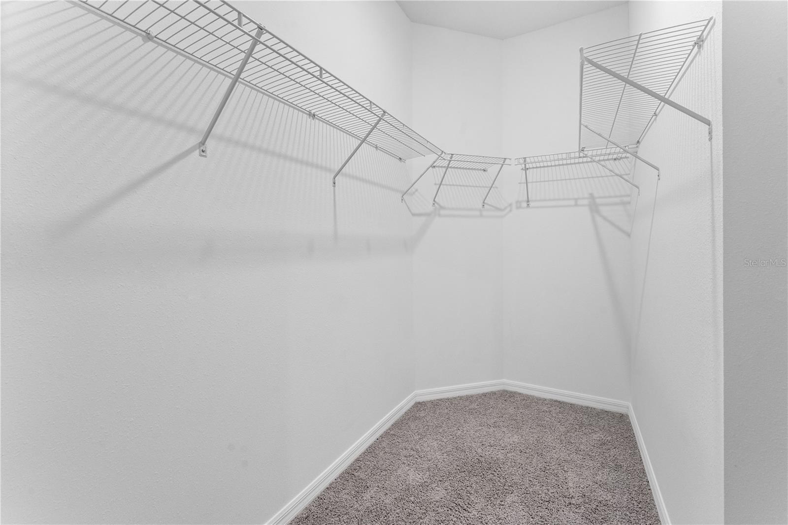 31351 PAPER BIRCH ST, WESLEY CHAPEL, FL, 33545