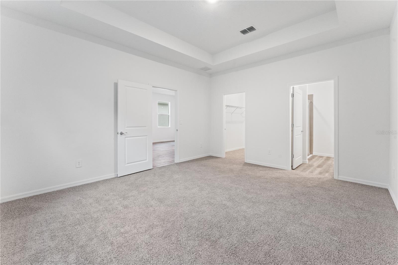 31351 PAPER BIRCH ST, WESLEY CHAPEL, FL, 33545