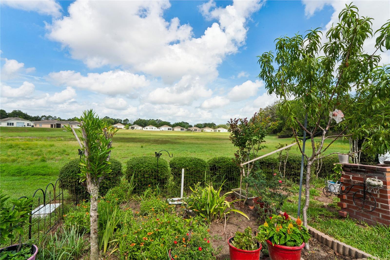 799 ALPINE THISTLE DR, BROOKSVILLE, FL, 34604