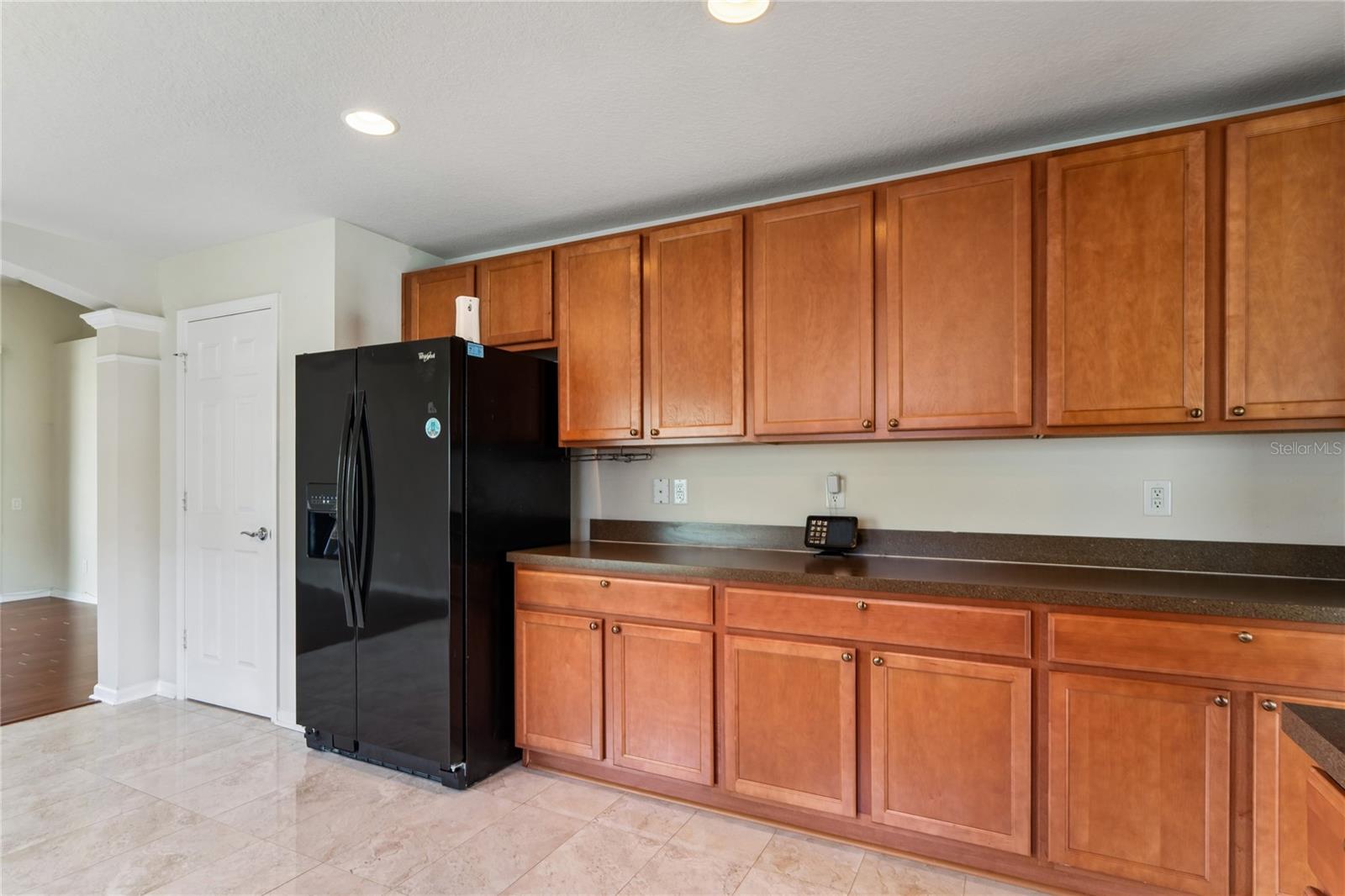 799 ALPINE THISTLE DR, BROOKSVILLE, FL, 34604