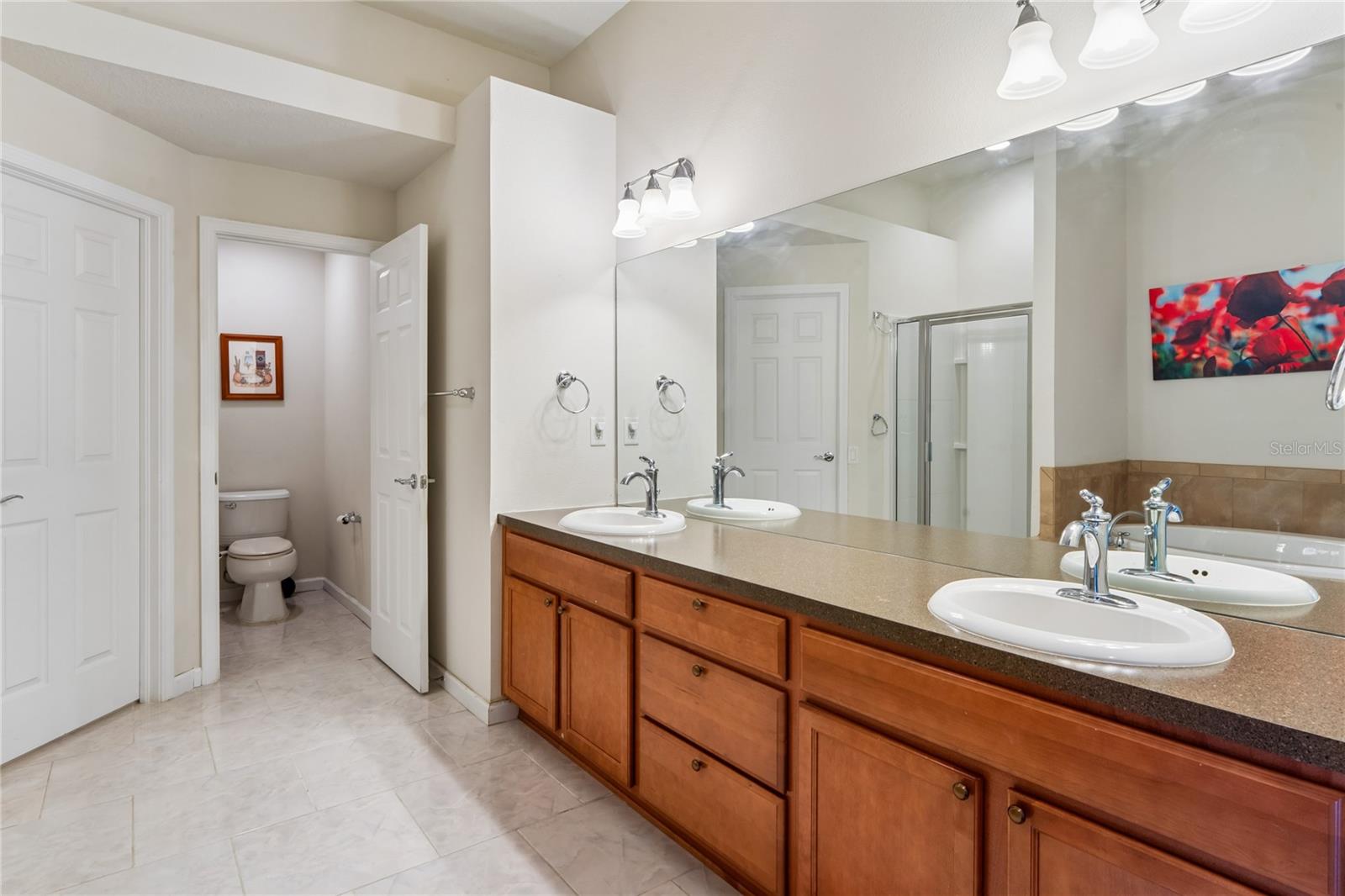 799 ALPINE THISTLE DR, BROOKSVILLE, FL, 34604