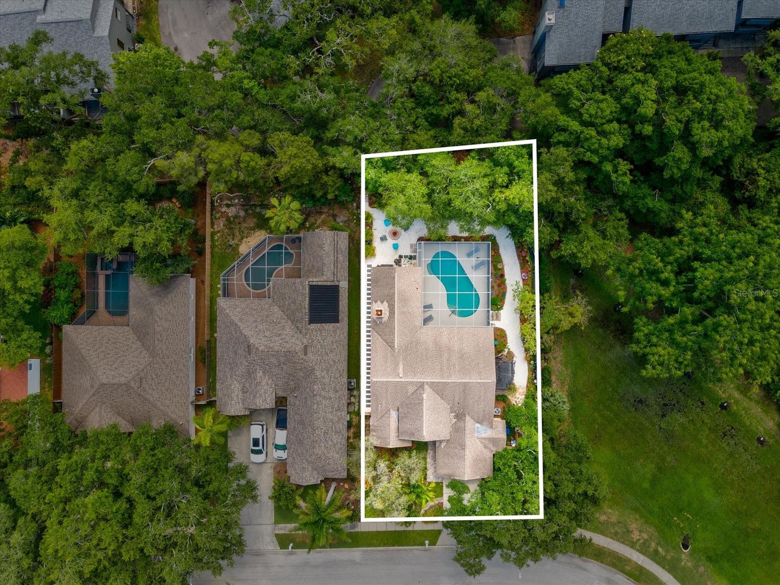 2033 LONG BRANCH LN, CLEARWATER, FL, 33760