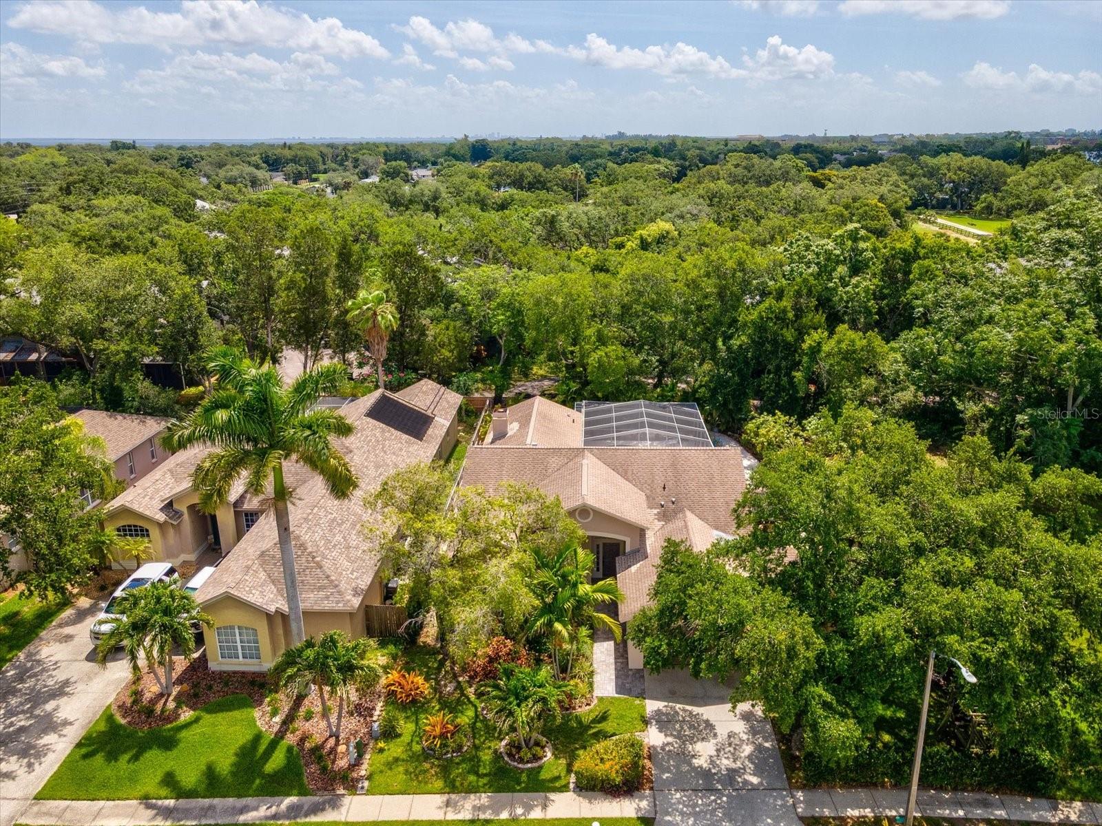 2033 LONG BRANCH LN, CLEARWATER, FL, 33760