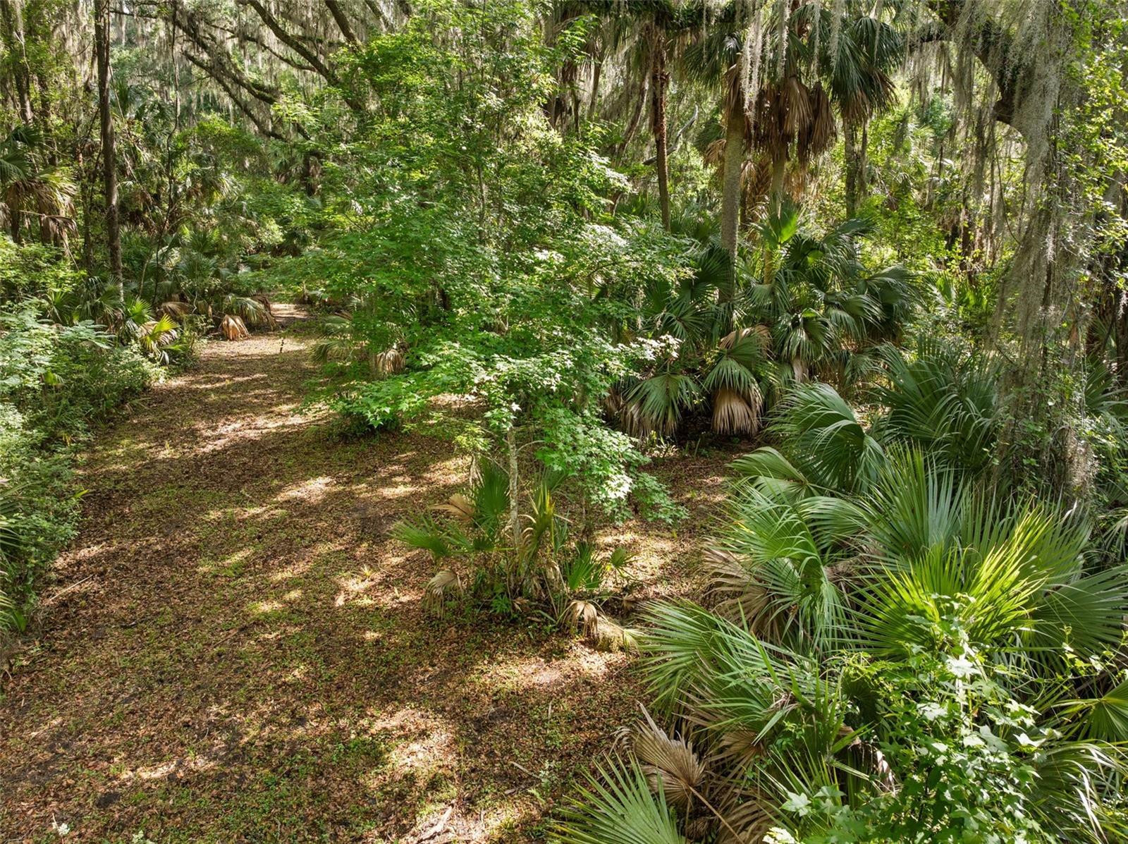 TBD SE WACAHOOTA RD, MICANOPY, FL, 32667
