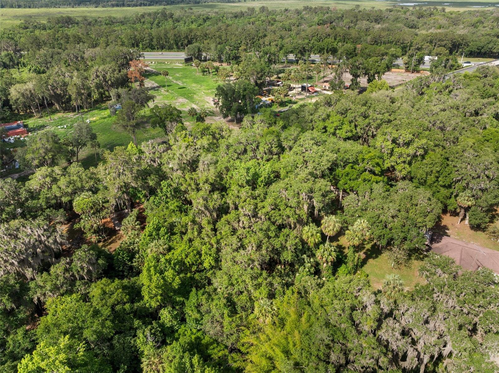 TBD SE WACAHOOTA RD, MICANOPY, FL, 32667