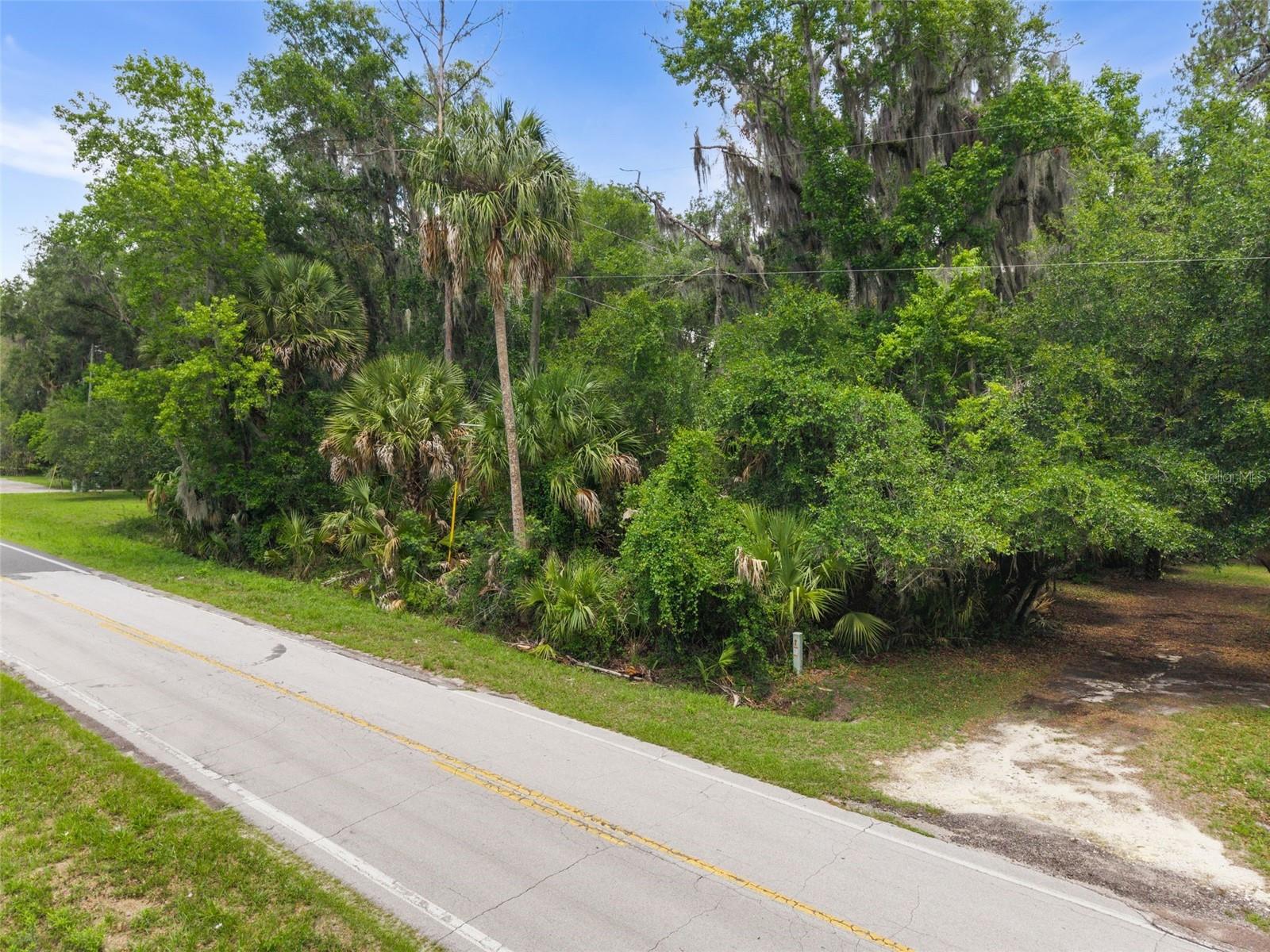 TBD SE WACAHOOTA RD, MICANOPY, FL, 32667