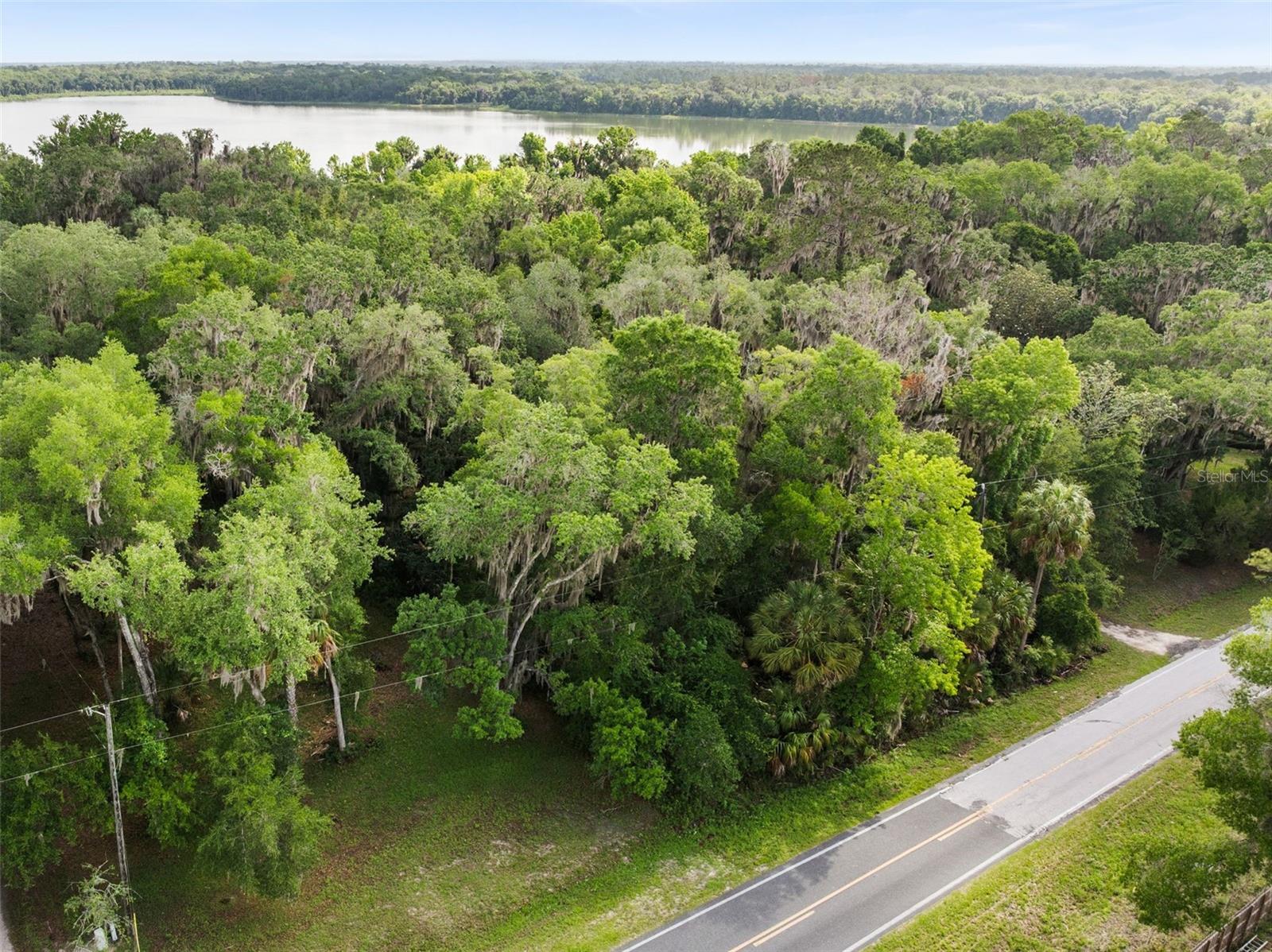 TBD SE WACAHOOTA RD, MICANOPY, FL, 32667