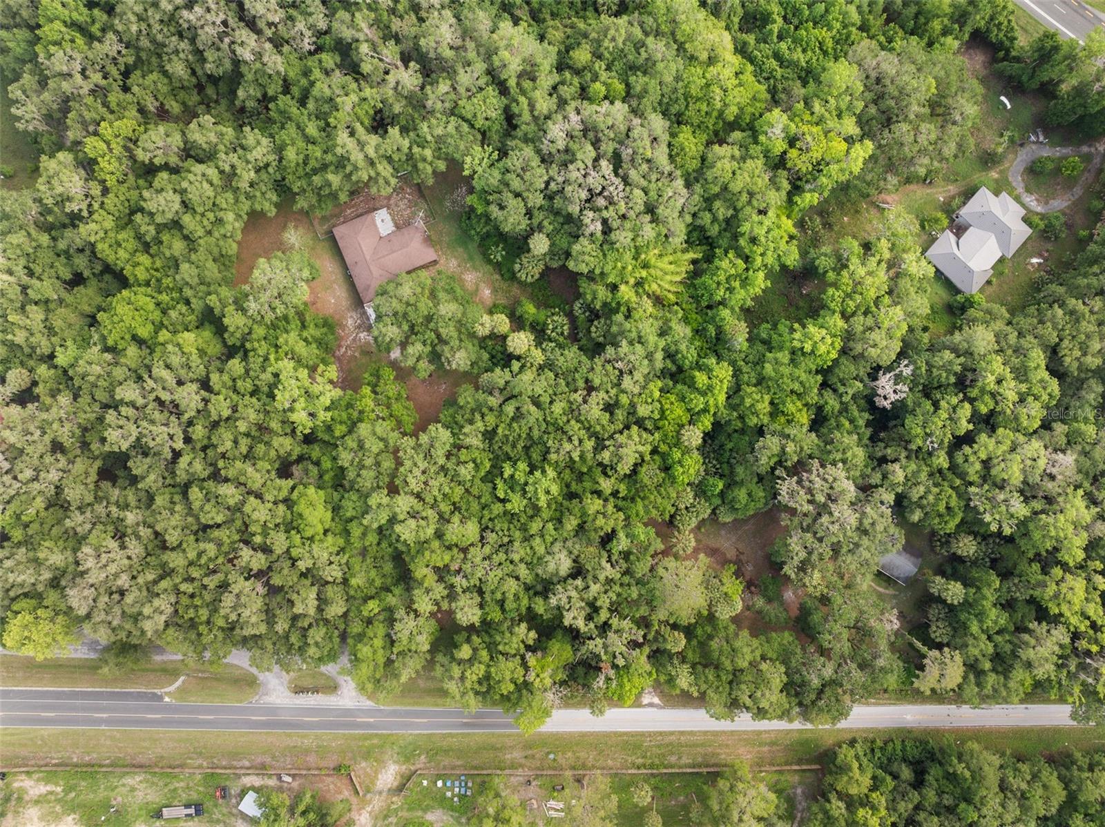TBD SE WACAHOOTA RD, MICANOPY, FL, 32667