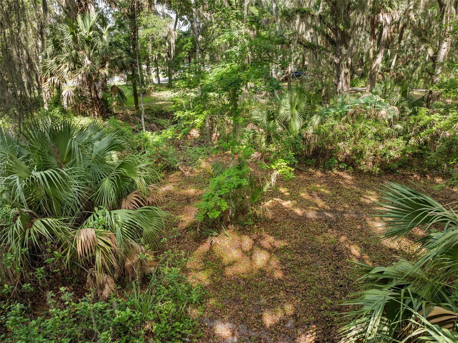 TBD SE WACAHOOTA RD, MICANOPY, FL, 32667