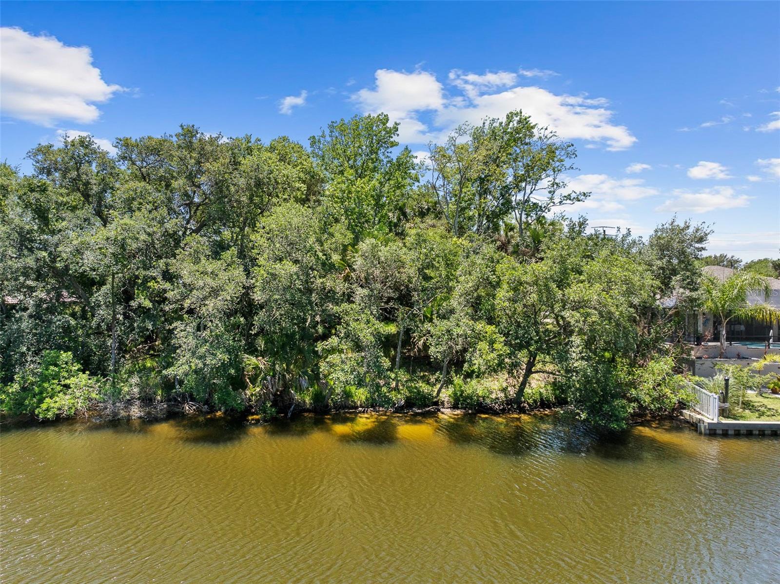 111 CIMMARON DR, PALM COAST, FL, 32137