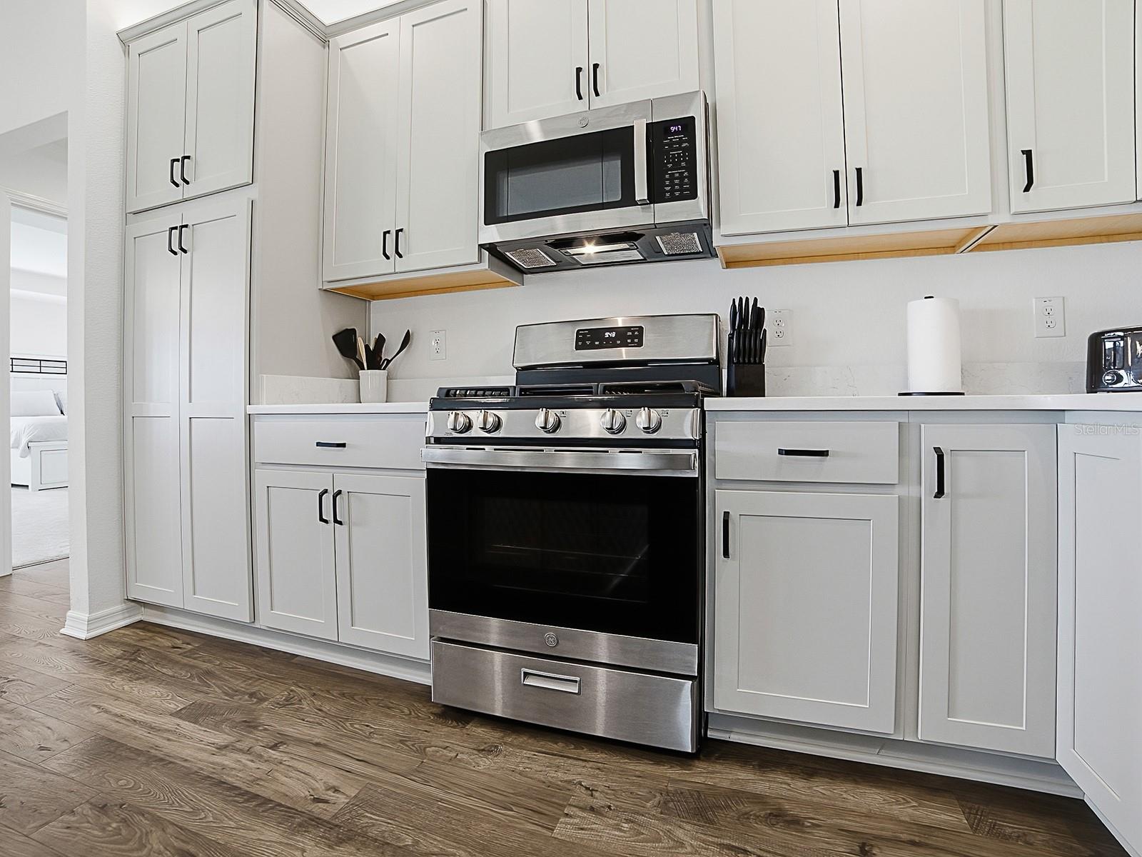 7247 REMI PL, THE VILLAGES, FL, 34762